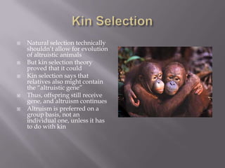 The evolution of kin selection | PPTX