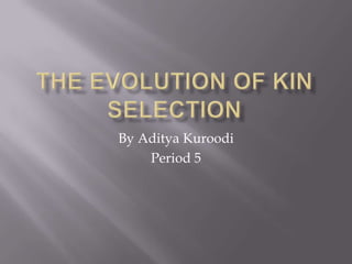 The Evolution of Kin Selection By Aditya Kuroodi Period 5 