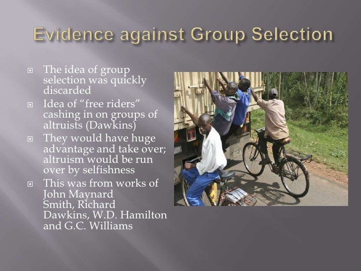 The evolution of kin selection