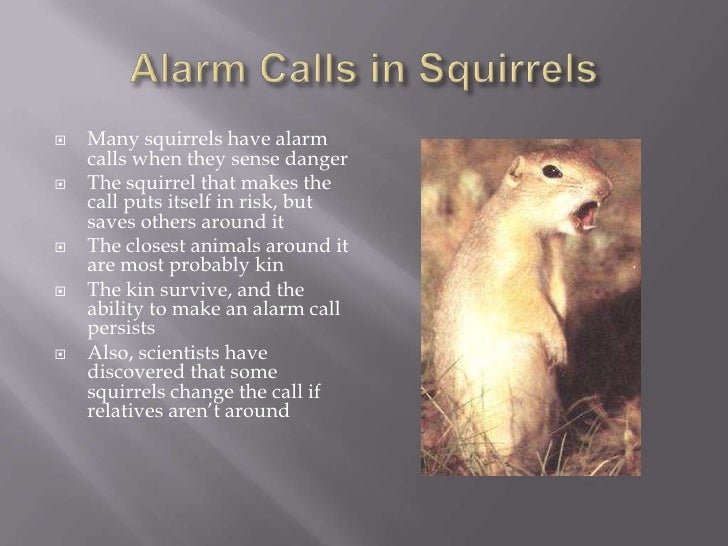 The evolution of kin selection