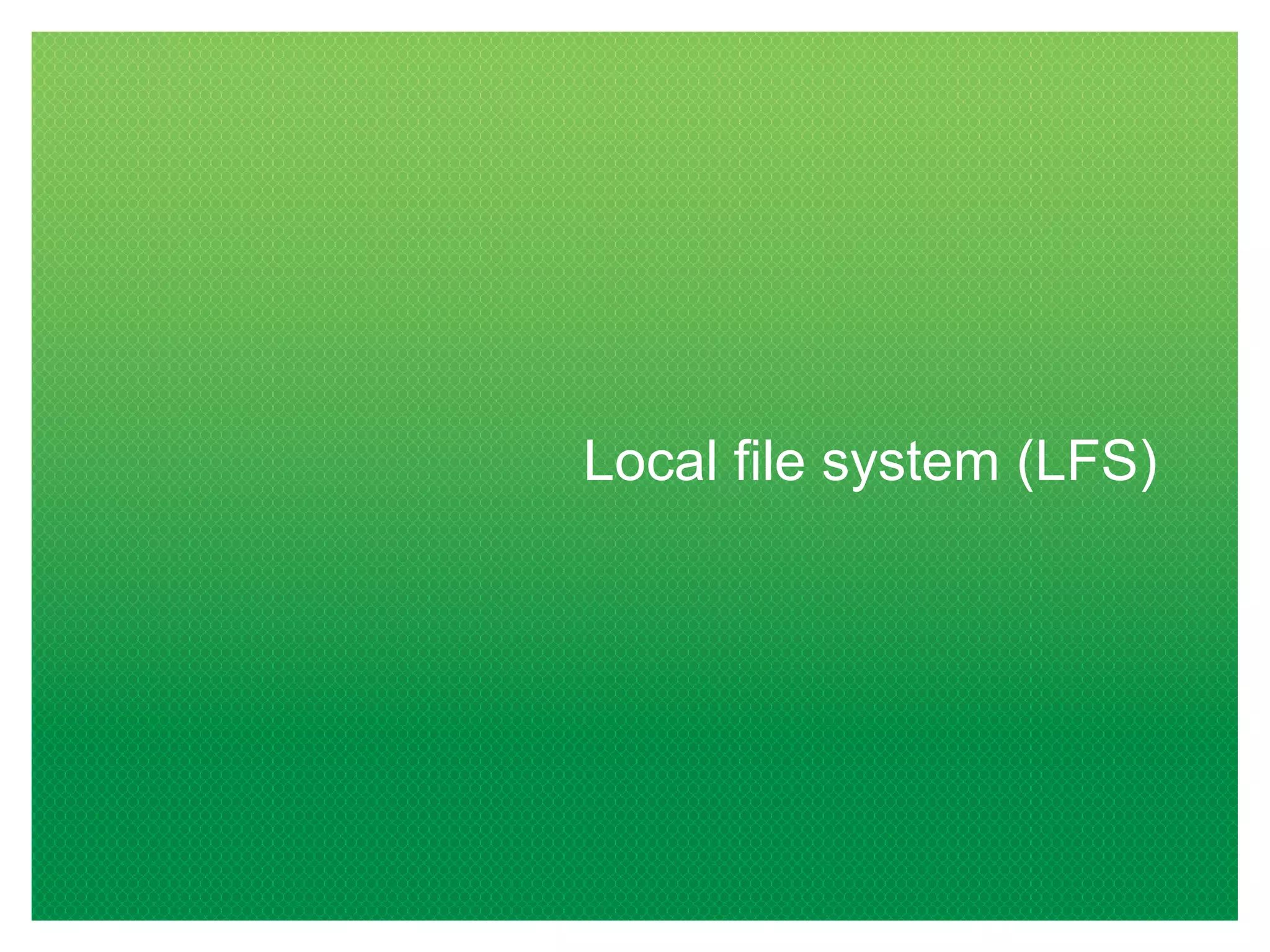 Local file system (LFS)
 