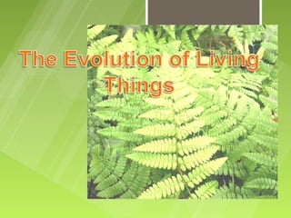 The Evolution of
Living Things
  Changes over Time
 