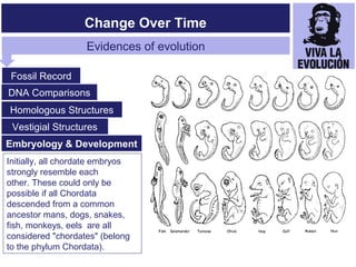 The Evolution of Living Things | PPT