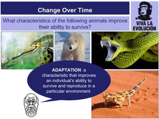 The Evolution of Living Things