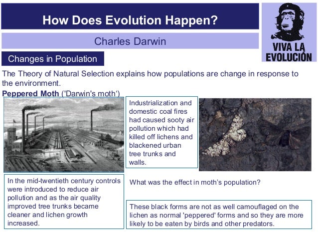 Darwin S Theory Of Evolution By Natural Selection Explains Changes In Darwin S Theory Of Evolution By Natural Selection Explains Changes In