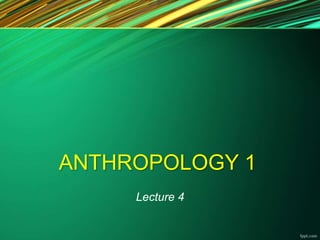ANTHROPOLOGY 1
Lecture 4
 