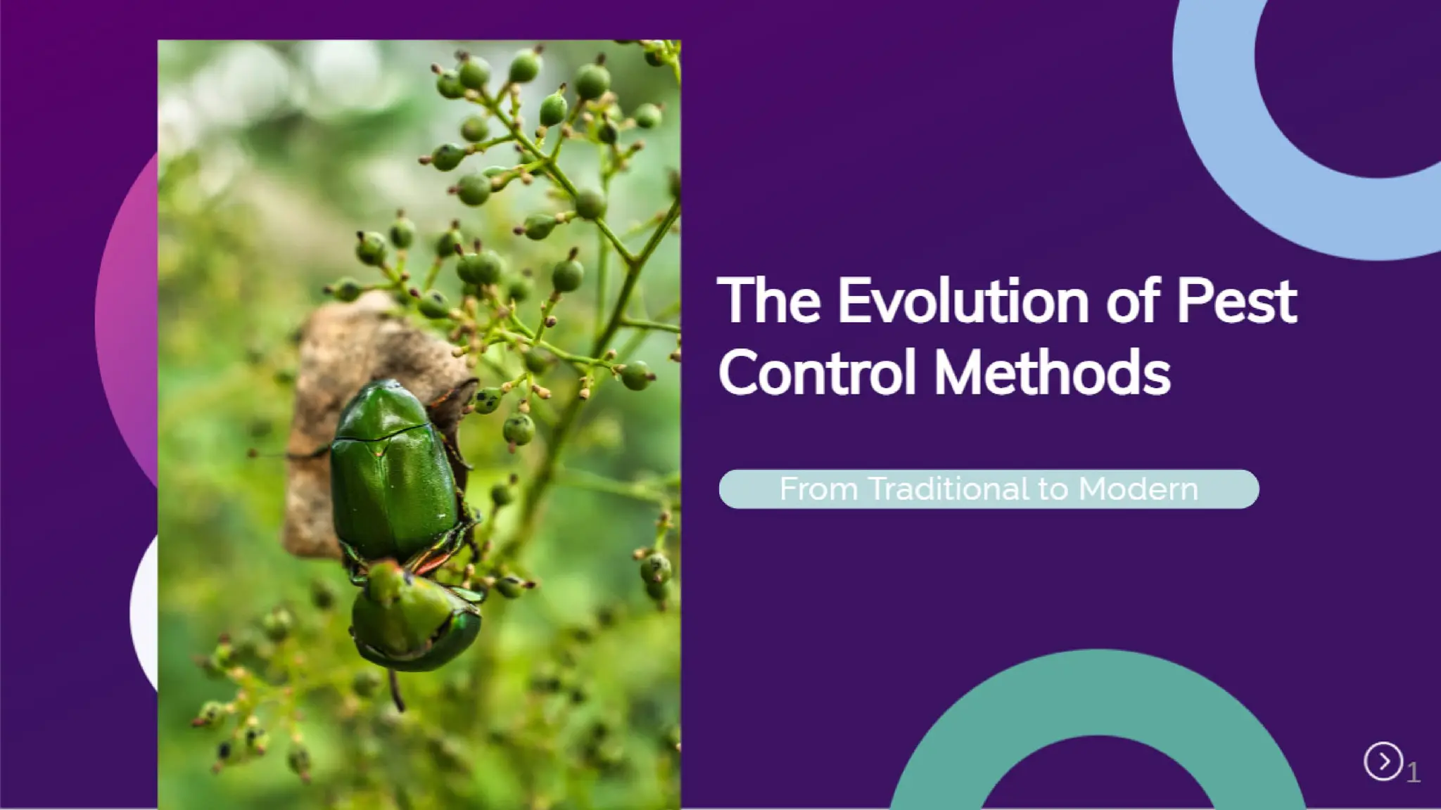 The Evolution of Pest Control Methods From Traditional to Modern.pdf