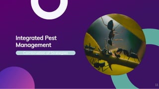 The Evolution of Pest Control Methods From Traditional to Modern.pdf