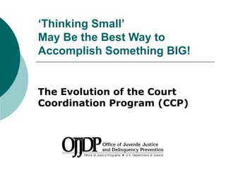 ‘ Thinking Small’  May Be the Best Way to Accomplish Something BIG! The Evolution of the Court Coordination Program (CCP) 