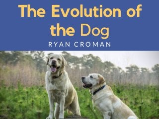 The Evolution of
the Dog
R Y A N C R O M A N
 