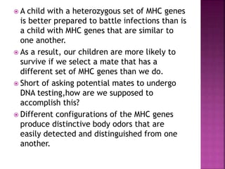  A child with a heterozygous set of MHC genes
is better prepared to battle infections than is
a child with MHC genes that are similar to
one another.
 As a result, our children are more likely to
survive if we select a mate that has a
different set of MHC genes than we do.
 Short of asking potential mates to undergo
DNA testing,how are we supposed to
accomplish this?
 Different configurations of the MHC genes
produce distinctive body odors that are
easily detected and distinguished from one
another.
 