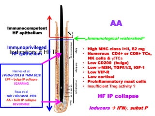 The evolving pathogenesis of alopecia areata and biomarkers of disease ...