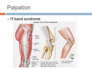 The Examination of the Knee_040716.pptx