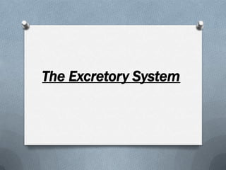 The Excretory System 