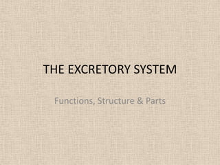 THE EXCRETORY SYSTEM

 Functions, Structure & Parts
 