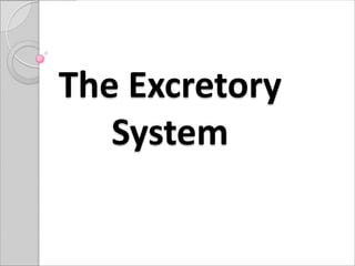 The Excretory
   System
 