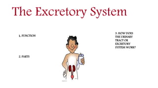 The Excretory System
1. FUNCTION
2. PARTS
3. HOW DOES
THE URINARY
TRACT OR
EXCRETORY
SYSTEM WORK?
 