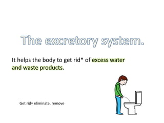 It helps the body to get rid* of excess water
and waste products.
Get rid= eliminate, remove
 