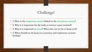 Challenge!
• 1. How is the respiratory system linked to the circulatory system?
• 2. Why is it important for the body to remove waste material?
• 3. Why is it important to sweat? What else can we do to keep cool?
• 4. What should we do keep our excretory and respiratory systems
healthy?
 