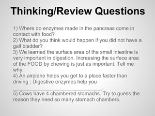 Thinking/Review Questions
1) Where do enzymes made in the pancreas come in
contact with food?
2) What do you think would happen if you did not have a
gall bladder?
3) We learned the surface area of the small intestine is
very important in digestion. Increasing the surface area
of the FOOD by chewing is just as important. Tell me
why.
4) An airplane helps you get to a place faster than
driving : Digestive enzymes help you
_______________________________.
5) Cows have 4 chambered stomachs. Try to guess the
reason they need so many stomach chambers.
 