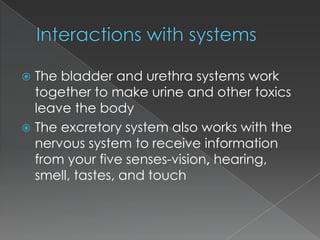 The bladder and urethra systems work
together to make urine and other toxics
leave the body
 The excretory system also works with the
nervous system to receive information
from your five senses-vision, hearing,
smell, tastes, and touch


 