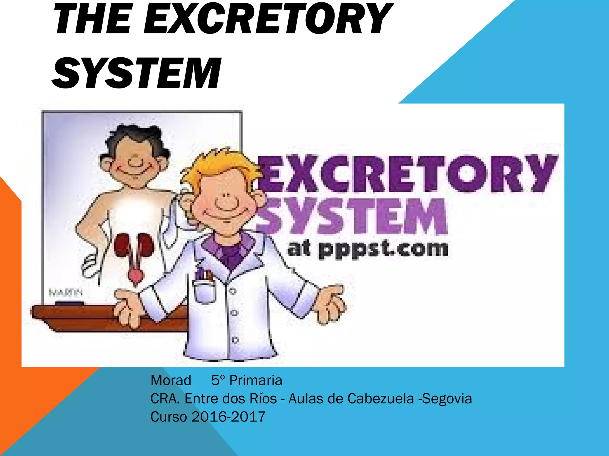 THE EXCRETORY
SYSTEM
Morad 5º Primaria
CRA. Entre dos Ríos - Aulas de Cabezuela -Segovia
Curso 2016-2017