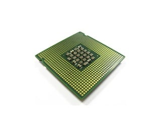 The Executioner's Tale