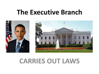 The Executive Branch CARRIES OUT LAWS 