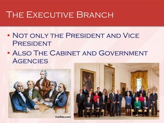The Executive Branch Not only the President and Vice President Also The Cabinet and Government Agencies 