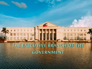 THE EXECUTIVE BRANCH OF THE
GOVERNMENT
 