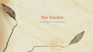 A lesson in Freedom
The Exodus
 
