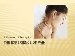 THE EXPERIENCE OF PAIN
A Question of Perception
 