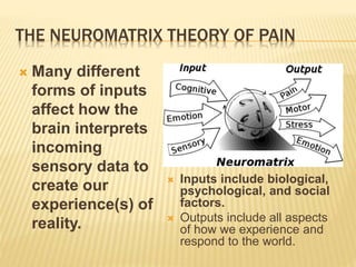 Pain Input/output The experience of pain | PPTX