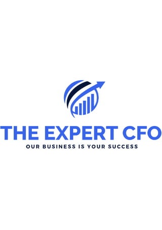   The Expert CFO
