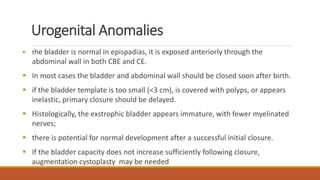 The exstrophy epispadias complex | PDF