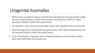 The exstrophy epispadias complex | PDF