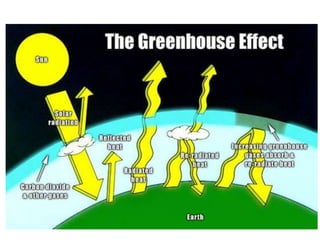 The extent of indoor pollution in jamaica