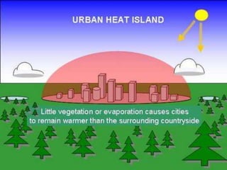 The extent of indoor pollution in jamaica