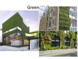 Green Walls

 