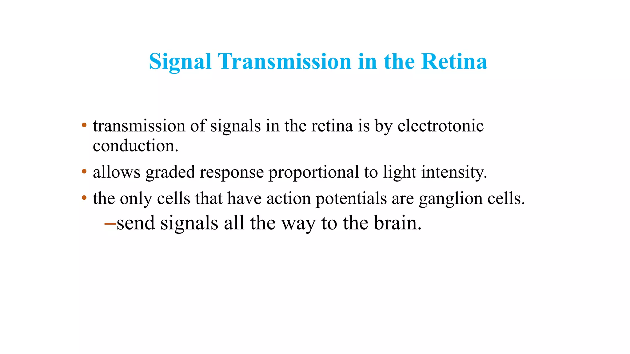 Signal Transmission in the Retina
• transmission of signals in the retina is by electrotonic
conduction.
• allows graded response proportional to light intensity.
• the only cells that have action potentials are ganglion cells.
–send signals all the way to the brain.
 