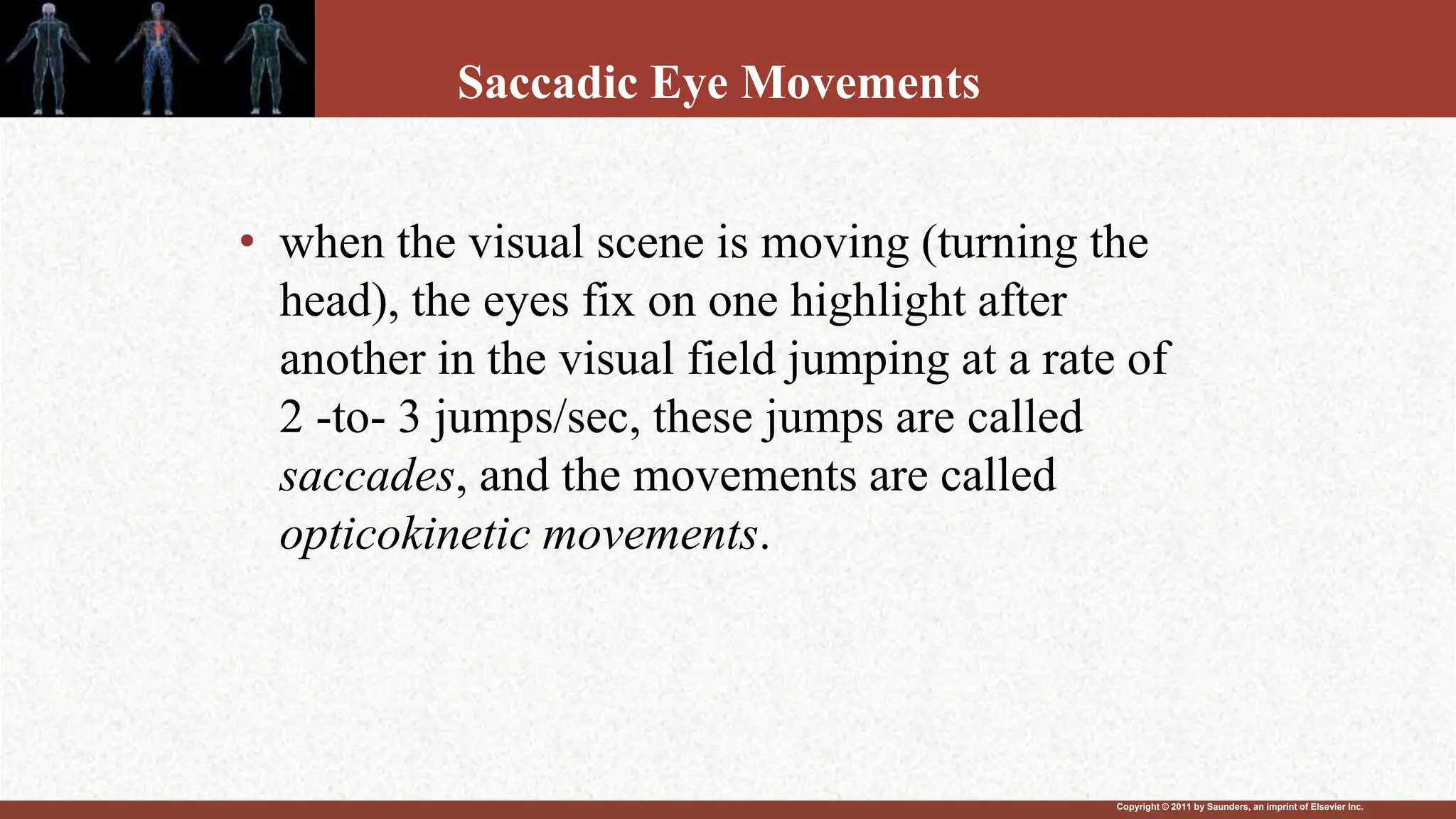 Copyright © 2011 by Saunders, an imprint of Elsevier Inc.
Saccadic Eye Movements
• when the visual scene is moving (turning the
head), the eyes fix on one highlight after
another in the visual field jumping at a rate of
2 -to- 3 jumps/sec, these jumps are called
saccades, and the movements are called
opticokinetic movements.
 