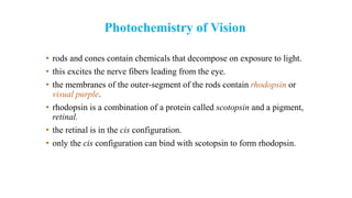 Photochemistry of Vision
• rods and cones contain chemicals that decompose on exposure to light.
• this excites the nerve fibers leading from the eye.
• the membranes of the outer-segment of the rods contain rhodopsin or
visual purple.
• rhodopsin is a combination of a protein called scotopsin and a pigment,
retinal.
• the retinal is in the cis configuration.
• only the cis configuration can bind with scotopsin to form rhodopsin.
 