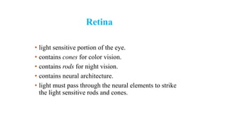 Retina
• light sensitive portion of the eye.
• contains cones for color vision.
• contains rods for night vision.
• contains neural architecture.
• light must pass through the neural elements to strike
the light sensitive rods and cones.
 