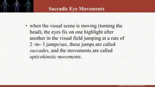 Copyright © 2011 by Saunders, an imprint of Elsevier Inc.
Saccadic Eye Movements
• when the visual scene is moving (turning the
head), the eyes fix on one highlight after
another in the visual field jumping at a rate of
2 -to- 3 jumps/sec, these jumps are called
saccades, and the movements are called
opticokinetic movements.
 