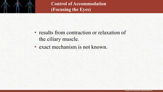 Copyright © 2011 by Saunders, an imprint of Elsevier Inc.
Control of Accommodation
(Focusing the Eyes)
• results from contraction or relaxation of
the ciliary muscle.
• exact mechanism is not known.
 