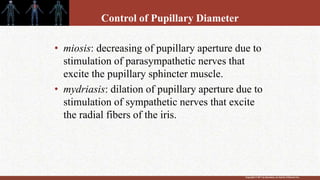 Copyright © 2011 by Saunders, an imprint of Elsevier Inc.
Control of Pupillary Diameter
• miosis: decreasing of pupillary aperture due to
stimulation of parasympathetic nerves that
excite the pupillary sphincter muscle.
• mydriasis: dilation of pupillary aperture due to
stimulation of sympathetic nerves that excite
the radial fibers of the iris.
 