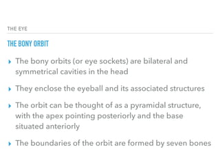 The eye | PDF