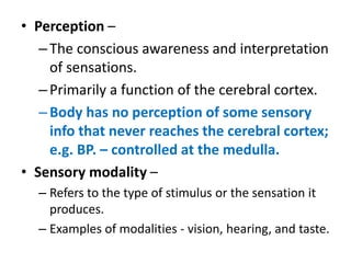 The Eye notes physiology notes for medical students | PPTX