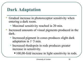 Photoreception Adaptation The eye receptors -l11 | PPT
