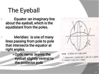 The Eye 2.pdf